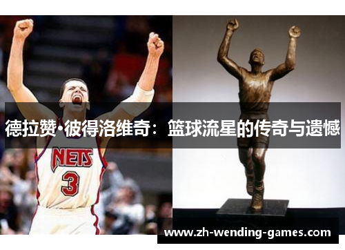 德拉赞·彼得洛维奇：篮球流星的传奇与遗憾