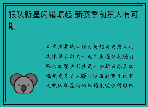 狼队新星闪耀崛起 新赛季前景大有可期