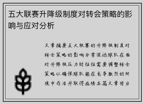 五大联赛升降级制度对转会策略的影响与应对分析